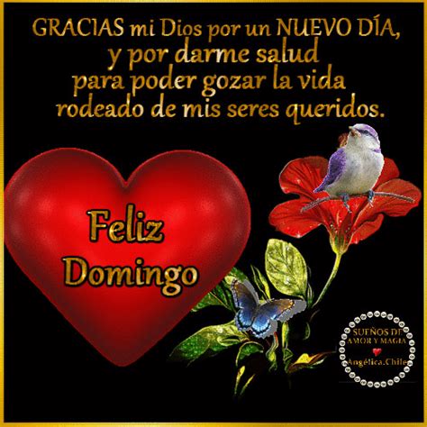 feliz domingo familia gif|feliz y bendecido domingo images.